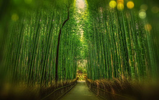 Bamboo hakkinda hersey - Luxurahome.com