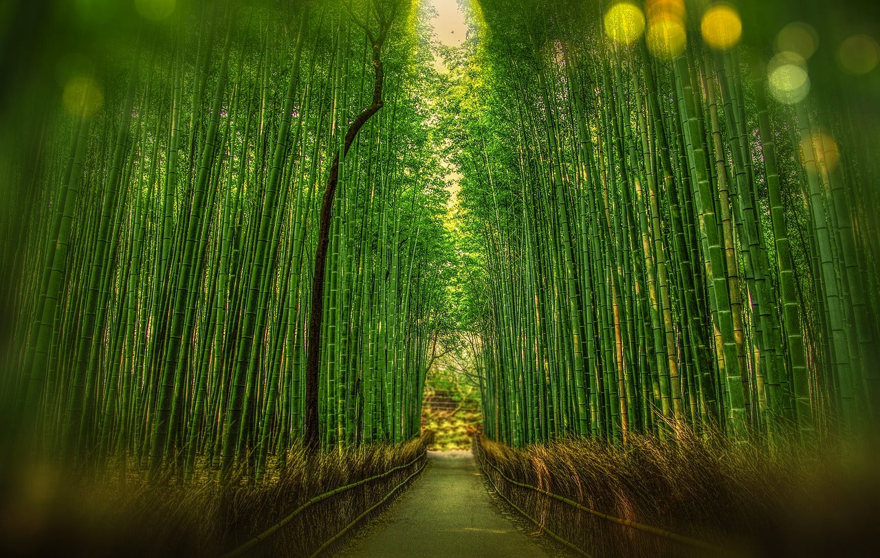 Bamboo hakkinda hersey - Luxurahome.com